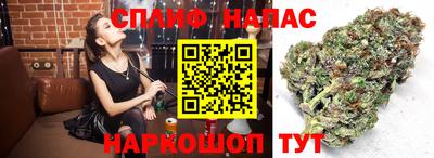 таблы Будённовск